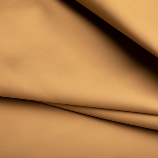 B40 - Image 5