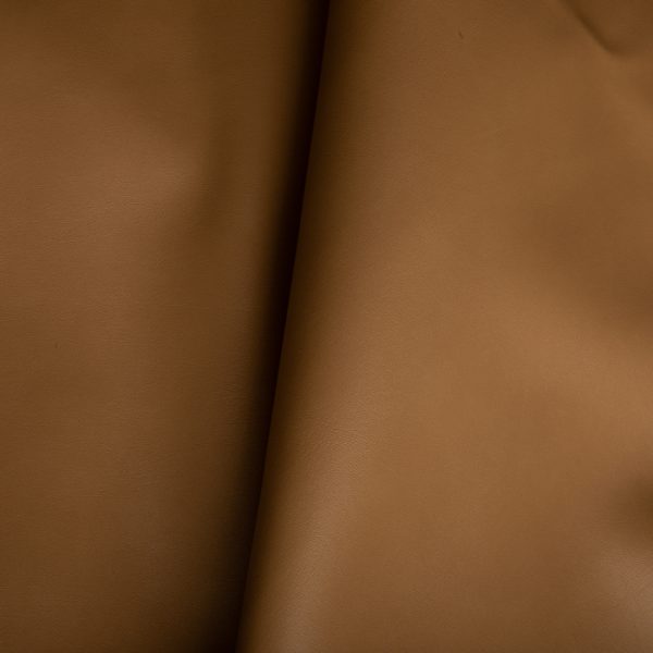 B40 - Image 4