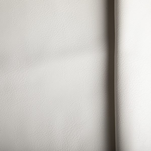 B64 - Image 2