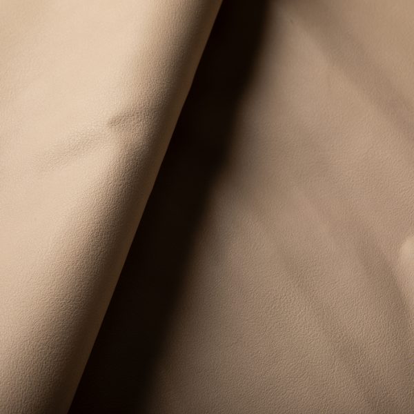B56 - Image 3