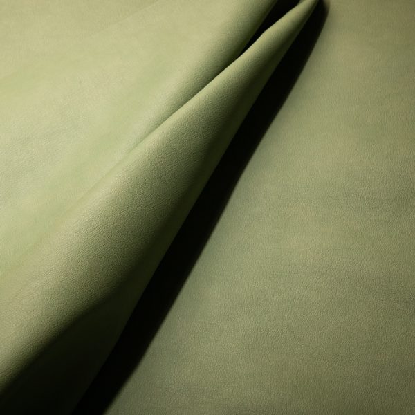 B44 - Image 5