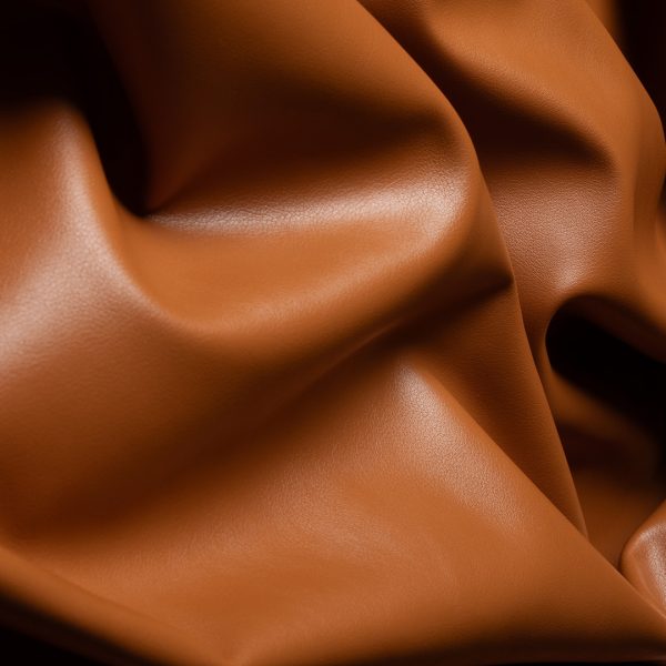 B66 - Image 2